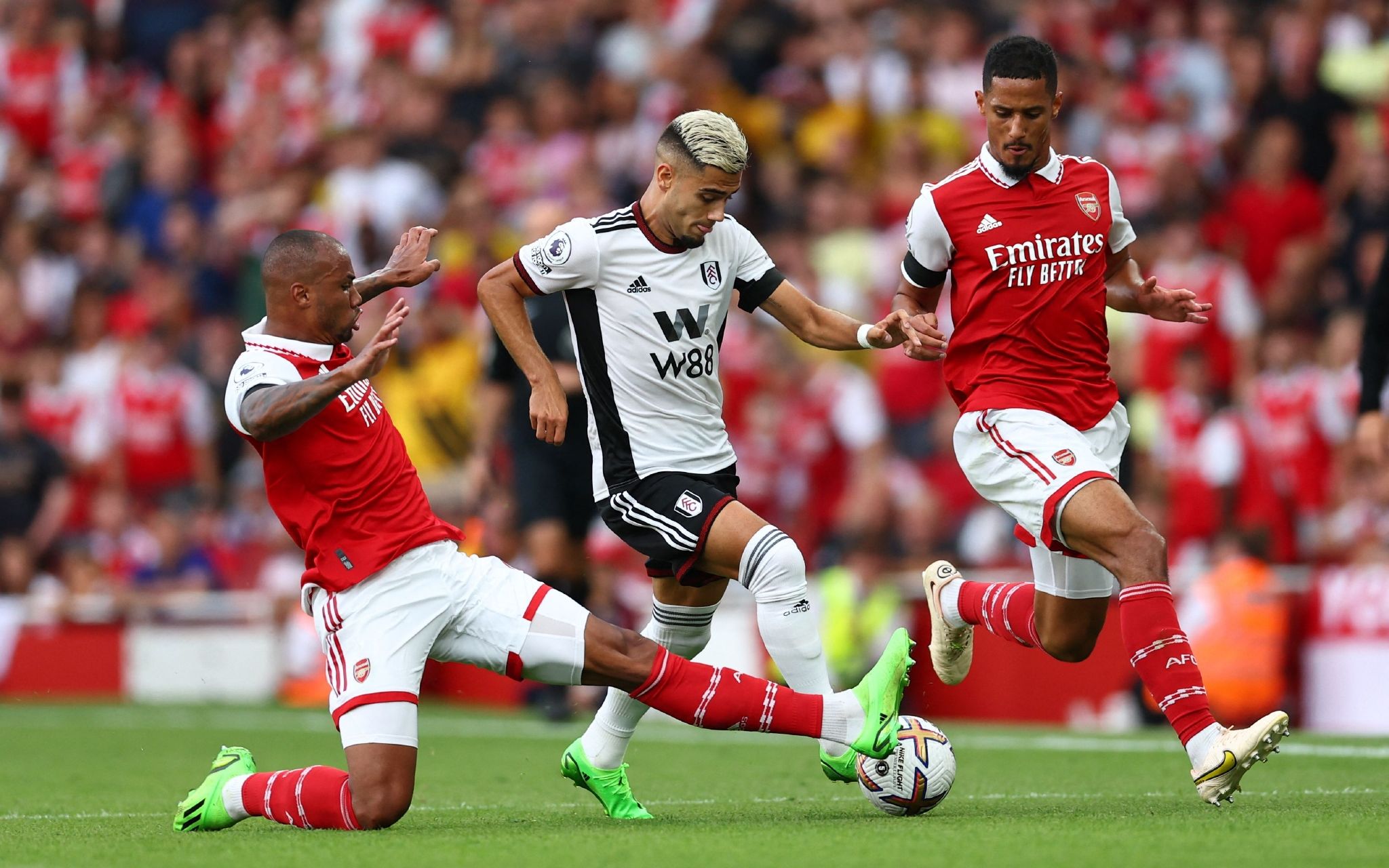 加拿大队的 加拿大队的